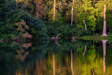 beautiful pond in the park