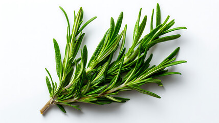 Fototapeta premium Fresh Rosemary Bunch Flat Lay 