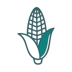 Corn Maize Vegetable Icon Design