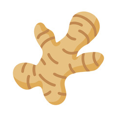 Ginger Root Spice Icon Design