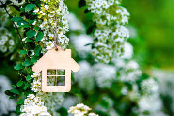 The symbol of the house hangs among the flowering branches of Spirea
