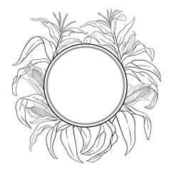 Corn Plant with Cobs Outline Round Frame. Organic natural nutritional healthy food ingredient, vegetarian diet product. Vector isolated for design or decoration.