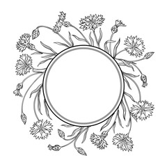 Corn Flower Plant with Flowers and Leaves Outline Round Frame. Vector isolated for design or decoration.