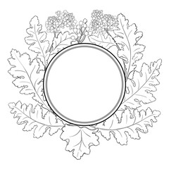 Crambe Plant with Flowers and Leaves Outline Round Frame. Vector isolated for design or decoration.