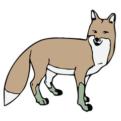 A fox is a small to medium-sized, intelligent mammal known for its pointed ears, bushy tail, and reddish-brown fur. It belongs to the dog family (Canidae) and is found in many parts of the world.
