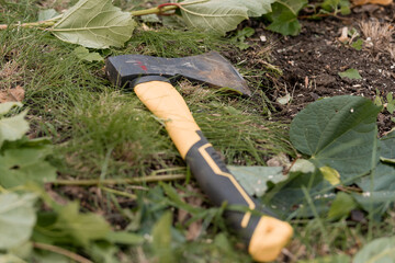 Rusty Axe Resting on Ground Among Lush Green Foliage, Dark Soil, Natural Landscape, Outdoor...