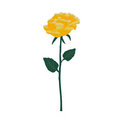 Yellow Rose Vector Illustration | Hand-Drawn Floral Design