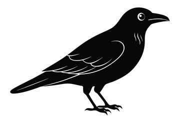 Obraz premium black crow vector icon