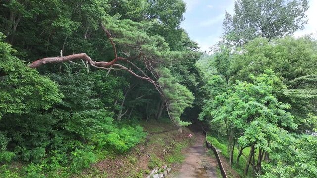 홍천 공작산 수타사