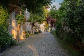 A beautiful evening scene along a quaint, plant lined, cobbled street. The warm afternoon sun...