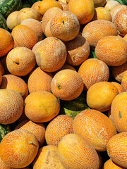 lots of melons and watermelons to eat as a background