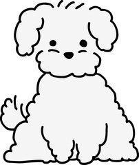 푸들