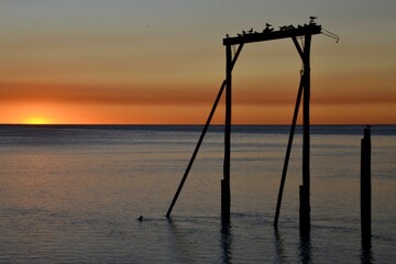 Sunset on the beach in Queensland, Australia