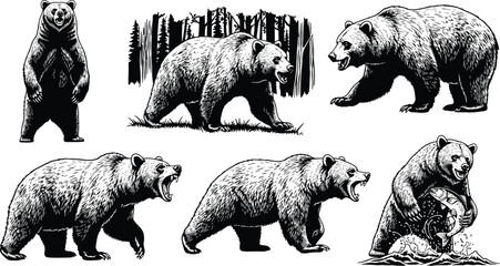 Dynamic bear illustrations capture raw power and wild spirit