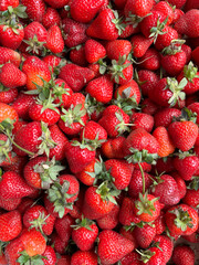 lots of ripe red strawberries for food as background
