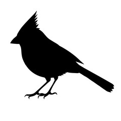 crow on a white background