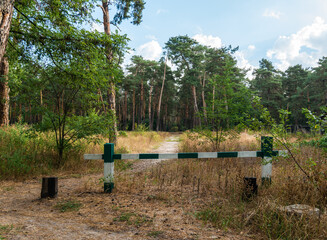 Wooden barrier on the path to the pine forest