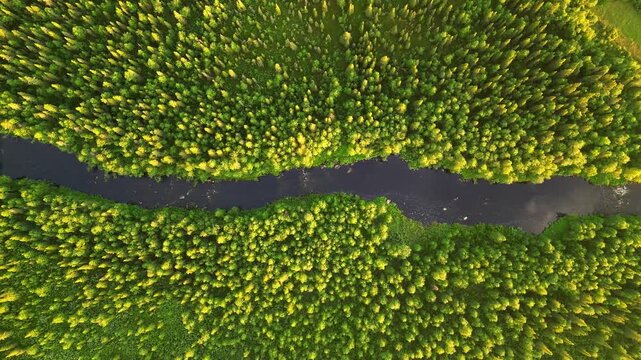 Aerial view of Stora Lulevatten river surrounded by a dense forest in Norrbotten County, Sweden