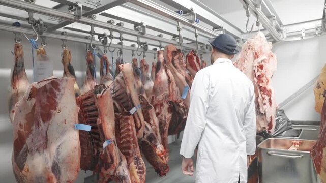 A butcher is standing in front of a hanging rack of meat. The meat is hanging from the ceiling and is in various stages of preparation. The butcher is wearing a white coat
