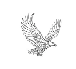 Obraz premium Adobe Illustrator Artwork