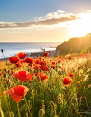 Vibrant red poppy blooms in coastal grassland, ocean backdrop