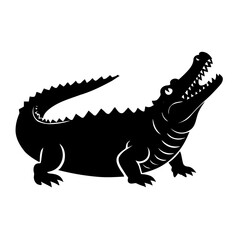 crocodile in front of white