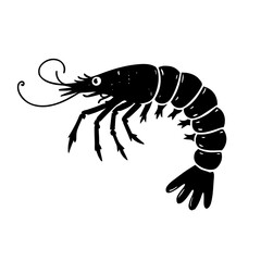 crayfish on a white background
