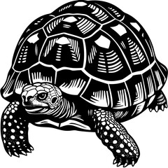 tortoise (linocut style)