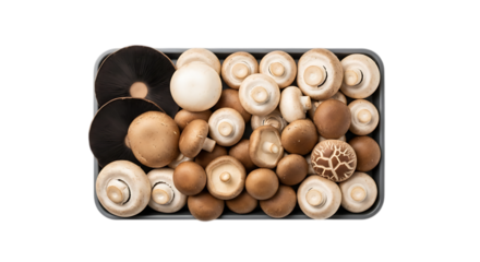 Assortment of fresh mushrooms in a tray, isolated on transparent background, offering a variety of flavors and textures for culinary creations and healthy meals