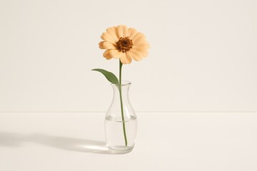 Single yellow flower in clear vase with water on white background.