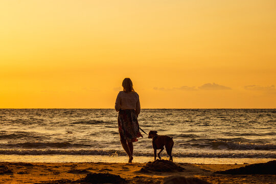 Woman strolling barefoot with a dog by the sea during a golden sunset