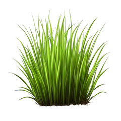 Lush green grass tuft (1)