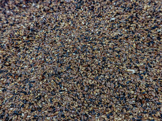 Mixed Seeds Close-up – Flax, Sesame, Nigella Blend Background