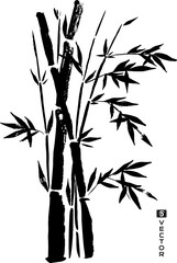 Bamboo silhouette. Stems with leaves. Vector isolated design element