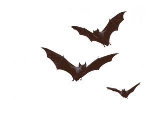 Three brown bats in flight against a black background