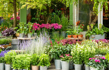 Arrangement of flowering plants such as hydrangeas or dahlias (bottom right) and other green plants...