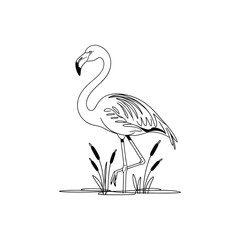 Fototapeta premium Adobe Illustrator Artwork