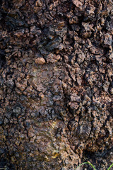 stone wall texture