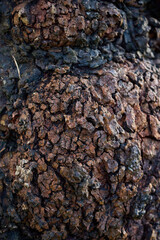 old stone wall