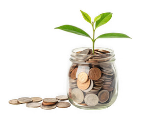 Plant growing from a jar full of coins isolated on transparent background