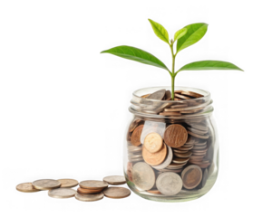 Plant growing from a jar full of coins isolated on transparent background