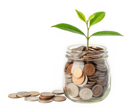 Plant growing from a jar full of coins isolated on transparent background