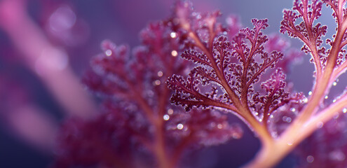 Under a close - up shot, the pink - purple plant branches are covered with crystal - clear water droplets, full of a fresh and healing natural micro - atmosphere.