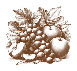fruits - hand drawing style (artwork 2)