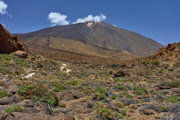 Volcanic trail toward Teide summit