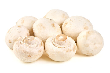 White Mushrooms Pile, isolated on white background