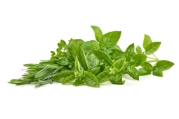 Fresh Herbs Basil, Rosemary, Oregano, isolated on white background