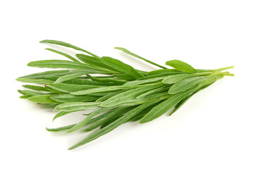 Fresh Rosemary Herb, isolated on white background