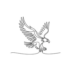 Fototapeta premium Adobe Illustrator Artwork