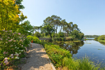 Naklejka premium View from Promenade Fleurie at Mimizan to Étang d'Aureilhan